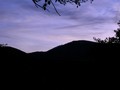 Drles de couleurs sur le Ventoux